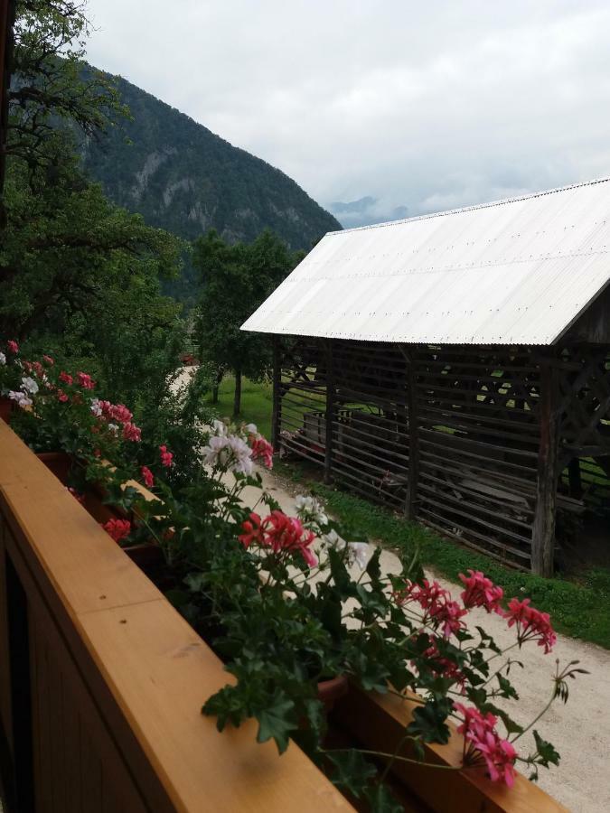 Apartma Momo Bohinj Bagian luar foto