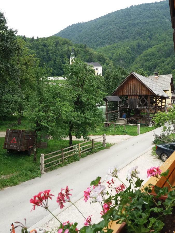 Apartma Momo Bohinj Bagian luar foto